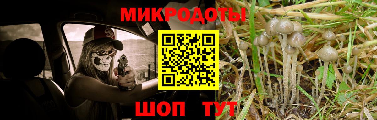 Псилоцибиновые грибы ЛСД Камень-на-Оби